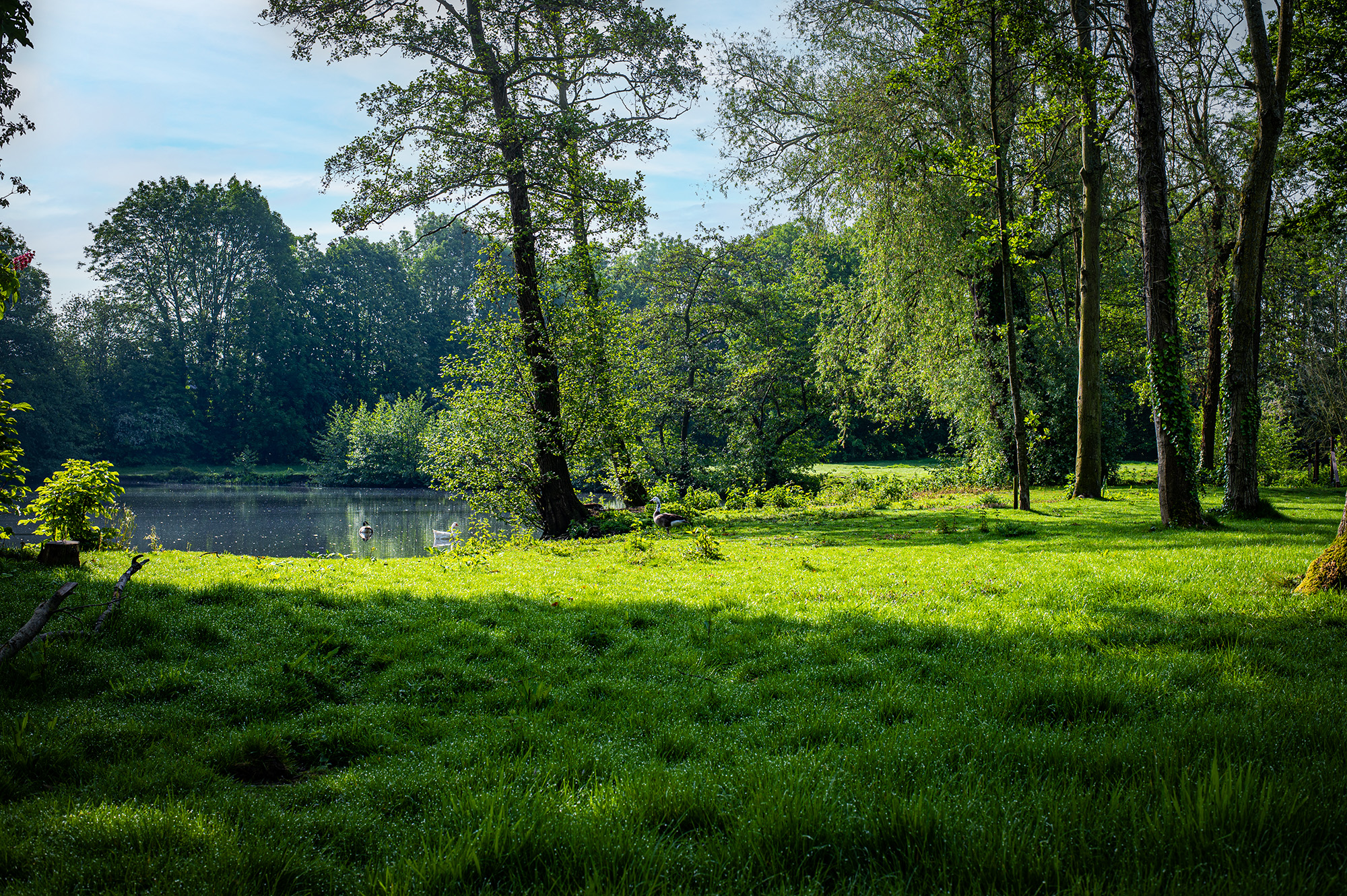 Parktuin