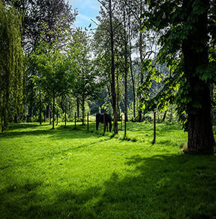 Domein Reiger Burg